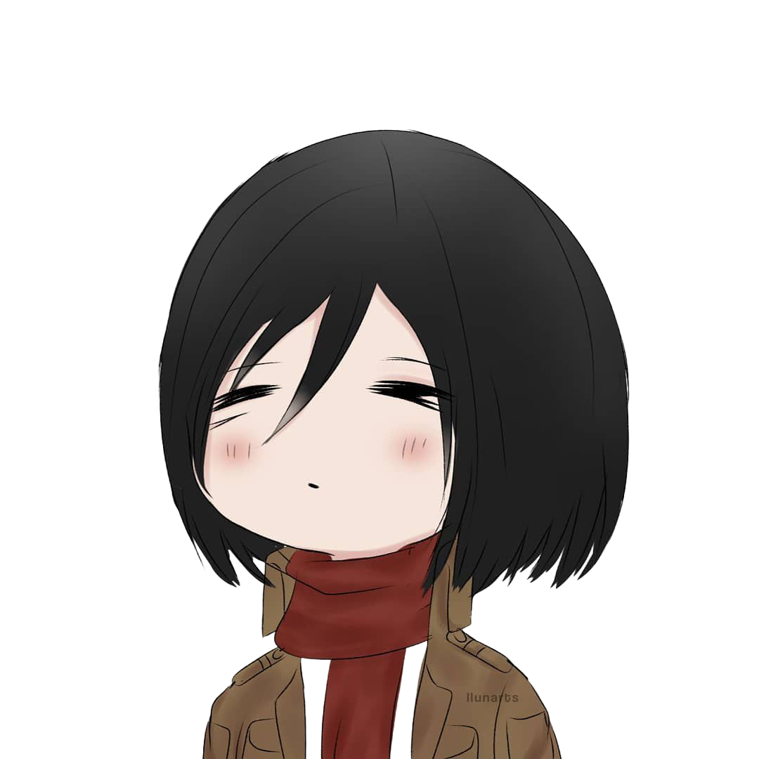 Mikasa